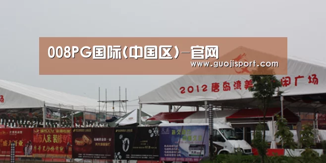 案例标题十(图1)