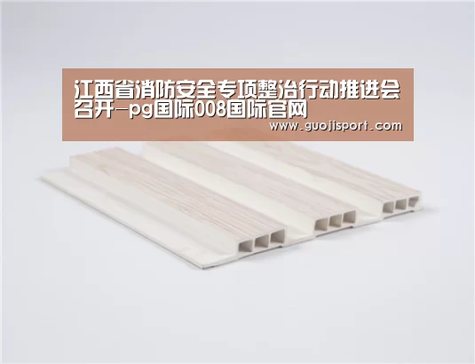 江西省消防安全专项整治行动推进会召开-pg国际008国际官网(图3) pg国际008国际官网
