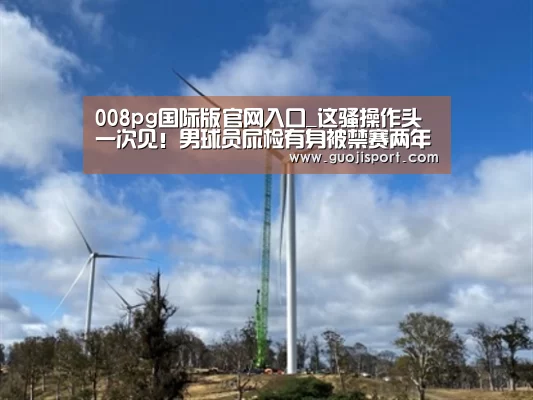 008pg国际版官网入口